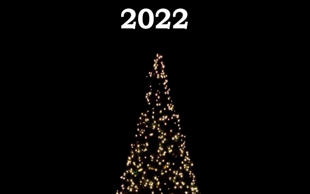 Kerstbundel 2022: Verschillende soorten Kerst