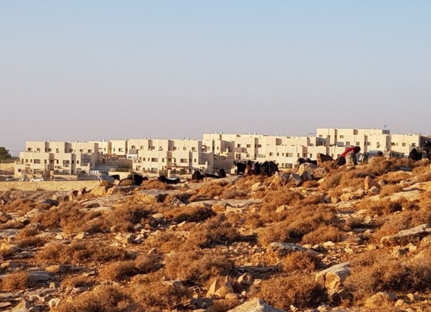 studiedag israel